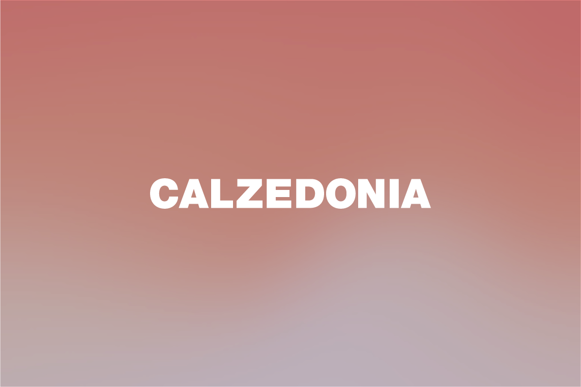 calzedonia_job.png